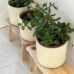 Marina Apartamento *